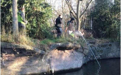 Whitney Equipment Helping With Woodland Park Zoo’s Hippo Pond